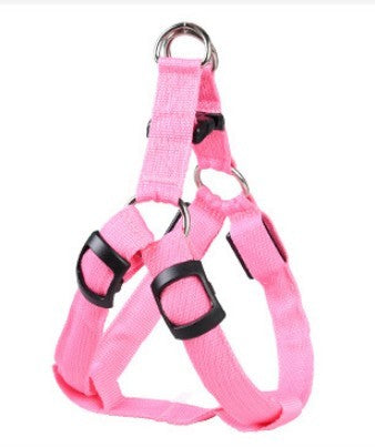 LED dog leash and chest strap
