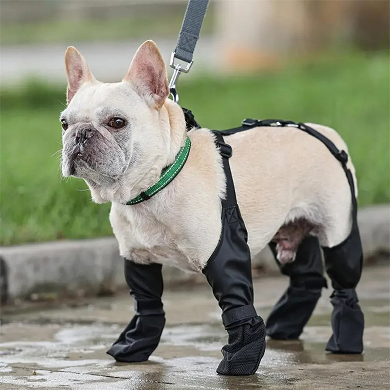 Waterproof Dog Shoes Adjustable Dog Boots