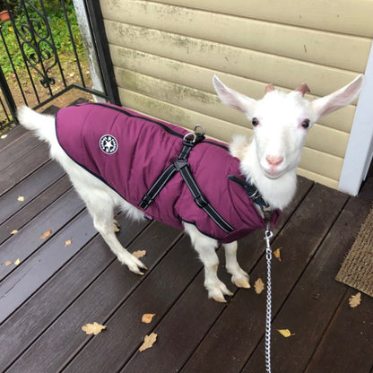 Waterproof Dog Clothes Winter Dog Coat With Harnes