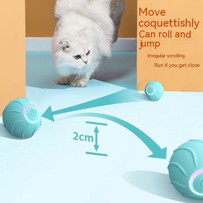 Smart Cat Toys Rolling Ball Pet Cat Owner Interactive Pets toys