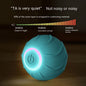 Smart Cat Toys Rolling Ball Pet Cat Owner Interactive Pets toys