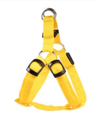 LED dog leash and chest strap
