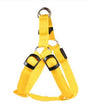 LED dog leash and chest strap