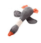 Dayan sounding toys dog toys pet 