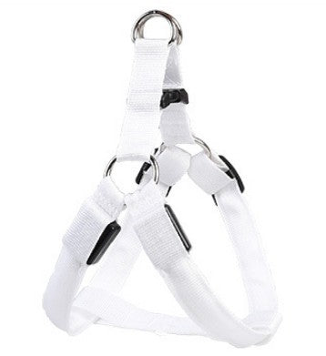 LED dog leash and chest strap
