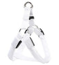 LED dog leash and chest strap