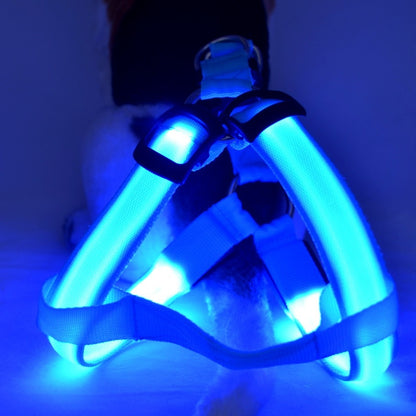 LED dog leash and chest strap