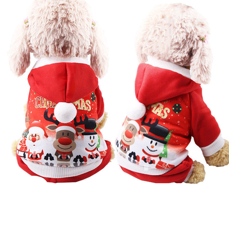 clothes for pets clothes for pets
