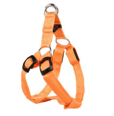 LED dog leash and chest strap