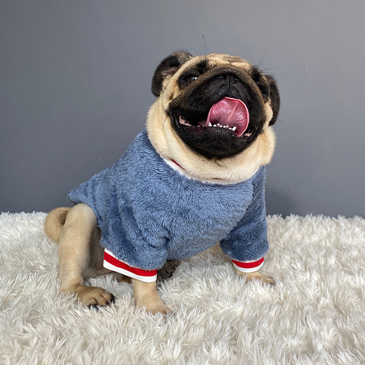 Pet sweater Pet sweater Pet sweater