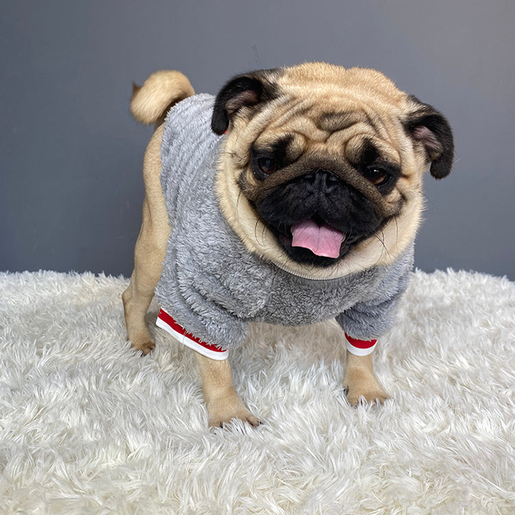 Pet sweater Pet sweater Pet sweater