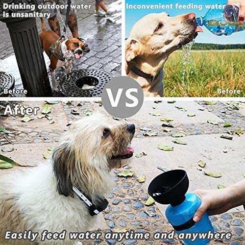 Pet Outdoor Foldable Bottle 