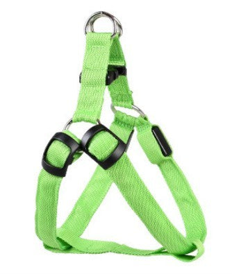 LED dog leash and chest strap