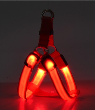 LED dog leash and chest strap