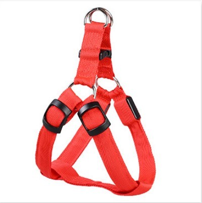LED dog leash and chest strap