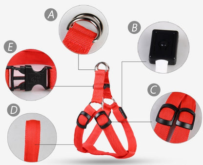LED dog leash and chest strap