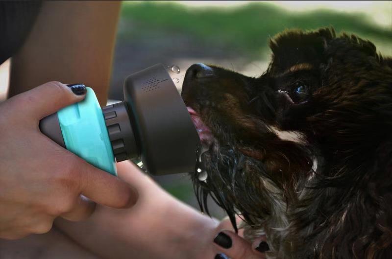 Pet Outdoor Foldable Bottle 
