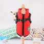 Waterproof Dog Clothes Winter Dog Coat With Harnes