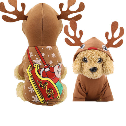 clothes for pets clothes for pets