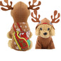 clothes for pets clothes for pets