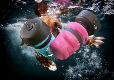 Pet Outdoor Foldable Bottle 