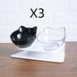 non slip elevated cat bowl