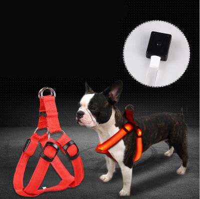 LED dog leash and chest strap