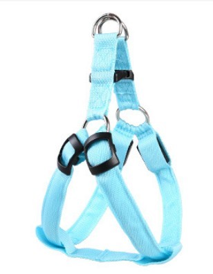 LED dog leash and chest strap