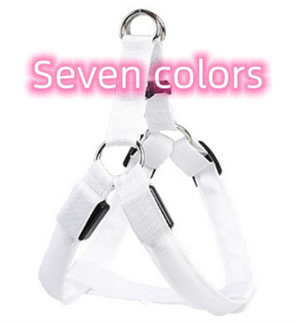 LED dog leash and chest strap