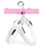 LED dog leash and chest strap