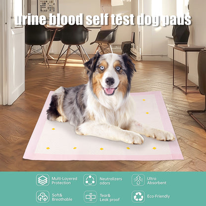 Dog Detection Urine Pad Dog Detection Urine Pad