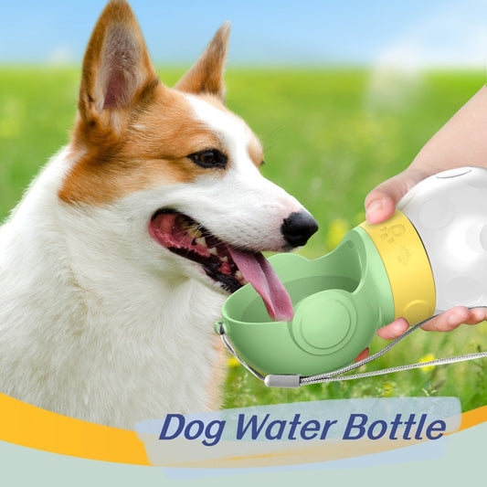 portable dog water bottle